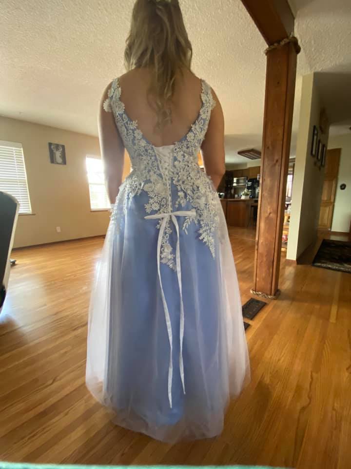 Prom Dress Back View